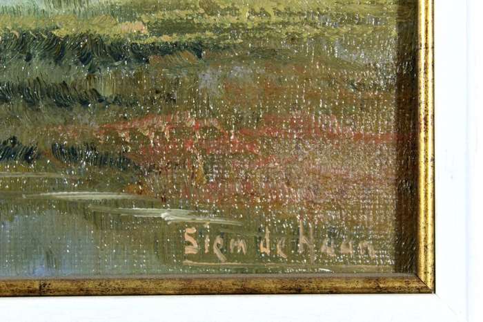 Siem de Haan - River and mountains
