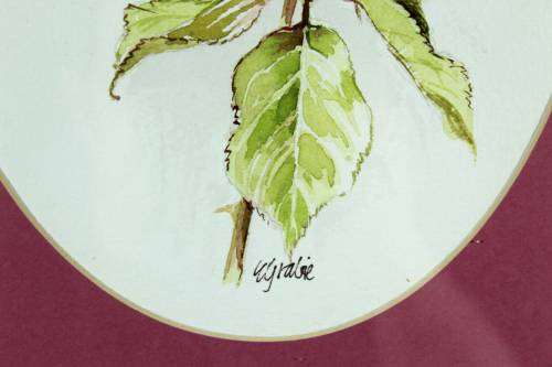 Esbe Grabie - Rose on a stem
