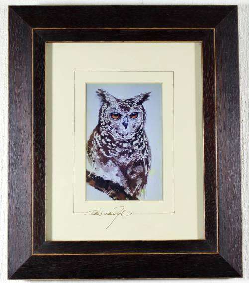 Ian van Zyl - Owl