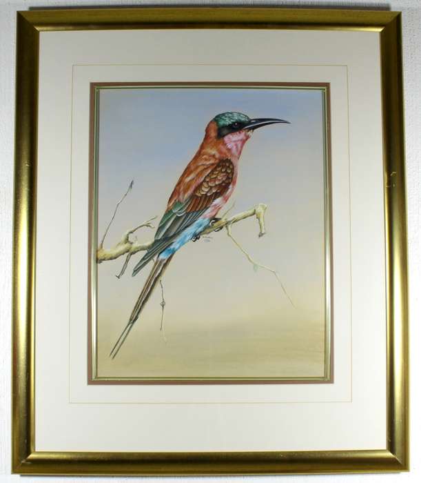 R Buric - Bird with multi color feathers