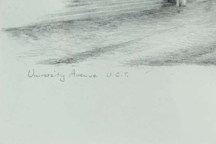 Sheila Brand - University Avenue UCT