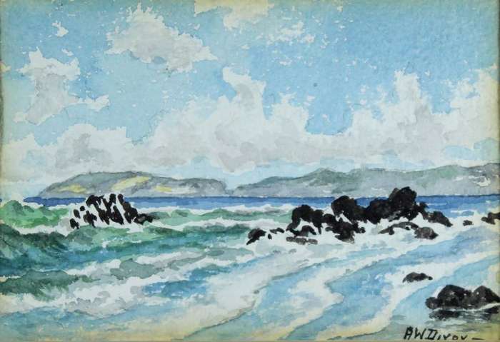 AW Dixon - False Bay