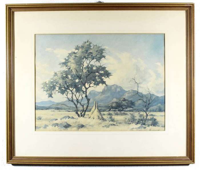 Borman - Landscape near Pietersburg