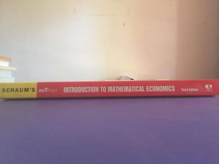 University Textbook: Introduction to Mathematical Economics