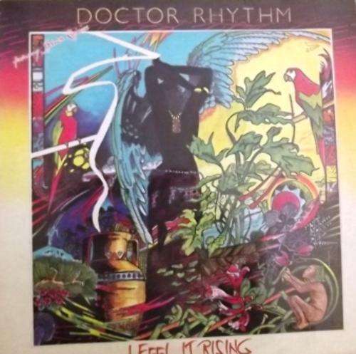 Doctor Rhythm/ Paul Petersen/ Shine On/ lp/ vg ex 1981 local