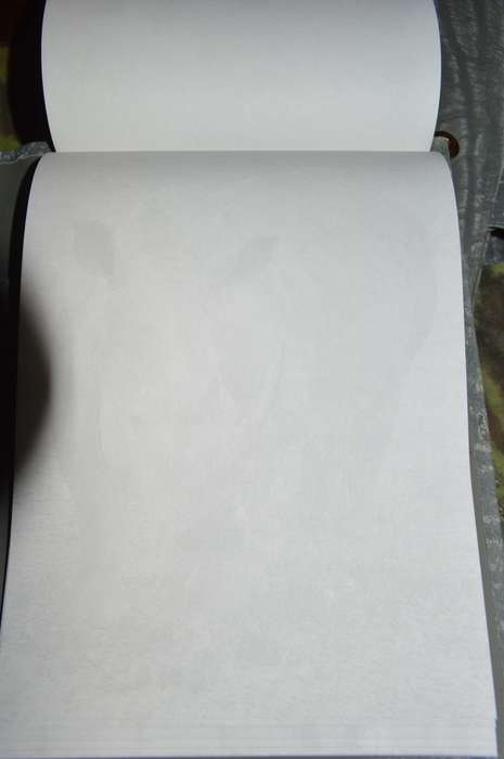 $$$Very nice and clean Buffalo hide Diary, Writting paper and envelopes, Phone book and money wallet