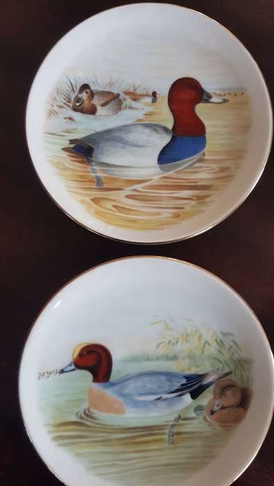 set of 4 bird plates lovely wild ducks