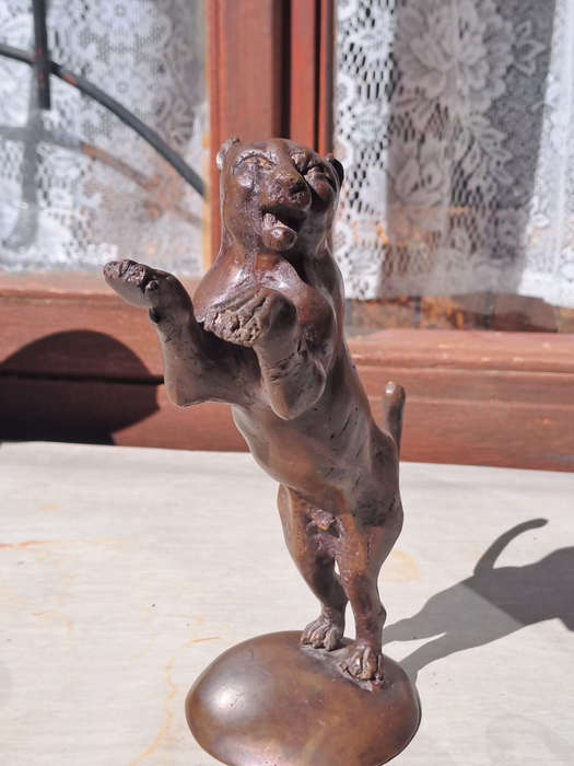 Bronze Panther male