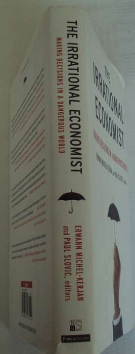 The Irrational Economist Erwann Michel-Kerjan and Paul Slovic editors