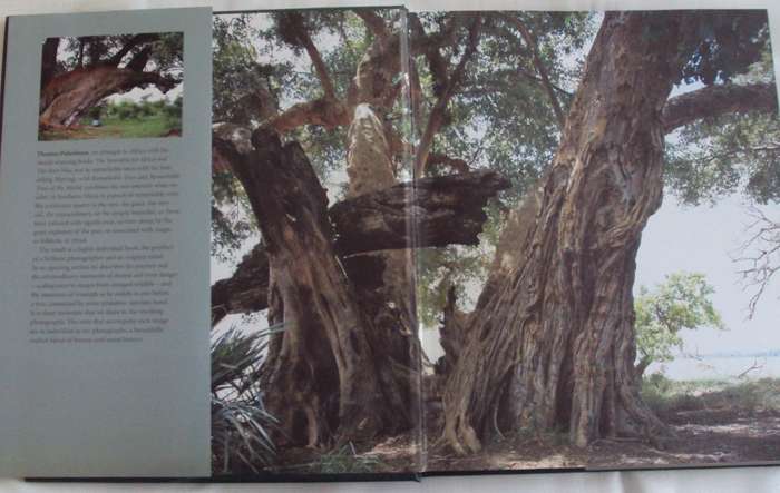 In Search of Remarkable Trees on Safari in Southern Africa Thomas Pakenham signed copy