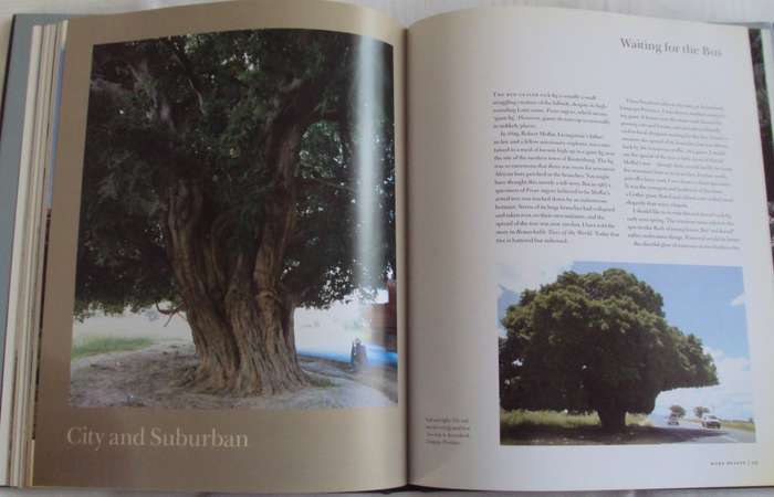 In Search of Remarkable Trees on Safari in Southern Africa Thomas Pakenham signed copy
