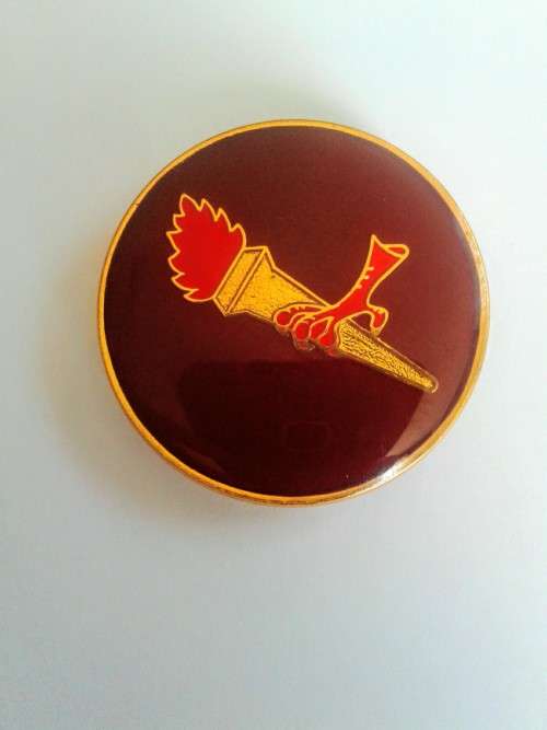 44 Pathfinder Platoon Shoulder flash - original - all pins intact
