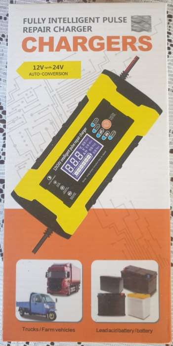 New Fully intelligent 12v battery charger