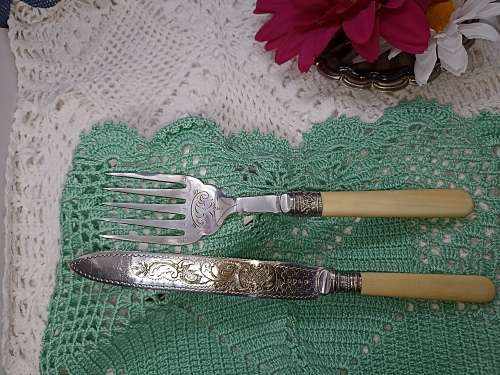 ANTIQUE : Silver Plated Fish Cutlery with hallmarked silver collar 1895 Sheffield celluloid handles