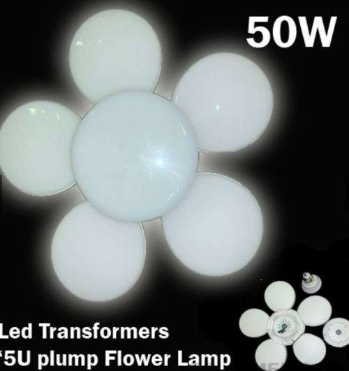 Flower Led 50W / LED transformer 5u plum flower lamp