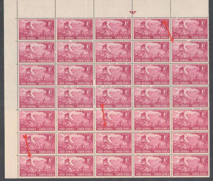 VOORTREKKER INAUGURATION 1½D UHB LISTED VARIETIES X3 SEE BELOW