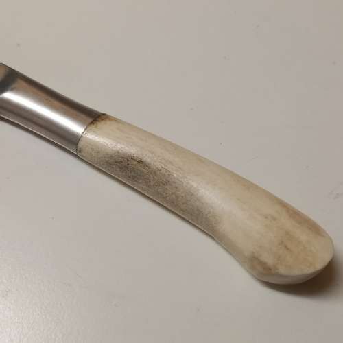 Bone Handle Knife