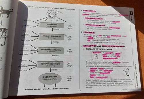 GR 12 LIFE SCIENCES P1+P2, NotesQuetionsAnsw `3 in 1` Helena Fouche Liesl Sterrenberg, Answer Series