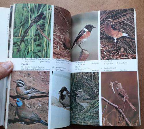 Birds of the Highveld, Bundu Series