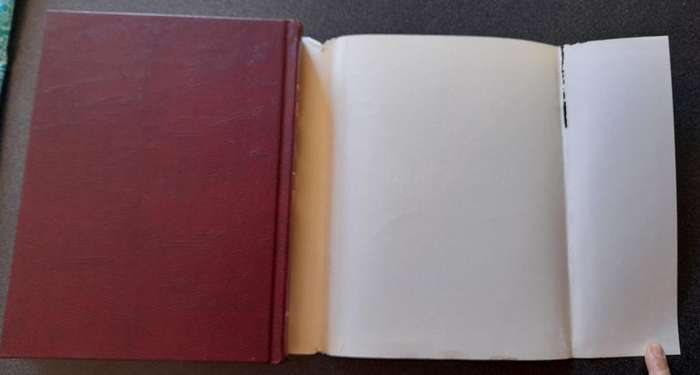 Britannica Book of the Year 1966, Events of 1965