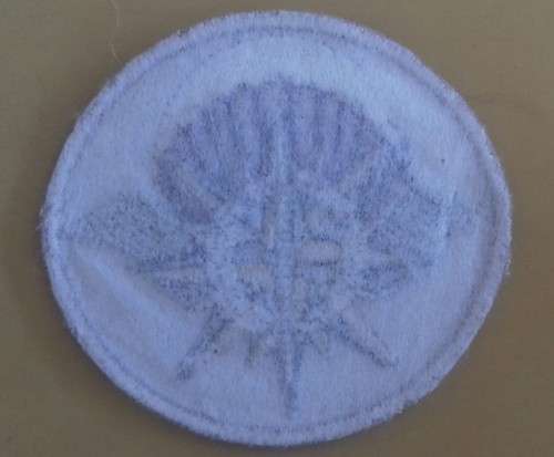 SA Special Forces commemorative Badge Recces and Parabats ..as new condition