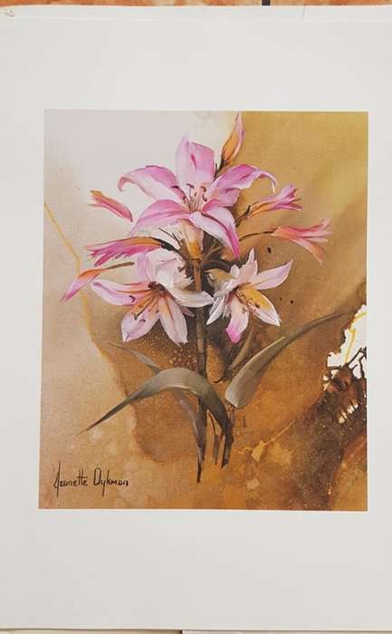 1983 JEANETTE DYKMAN BOUQUET OF 5 PRINTS A3 SIZE