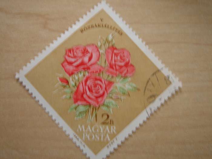 1963 Hungary - Roses 2 Ft used, stamped