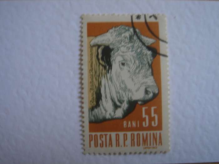 1962 Romania - The Bull 55 Bani used, stamped