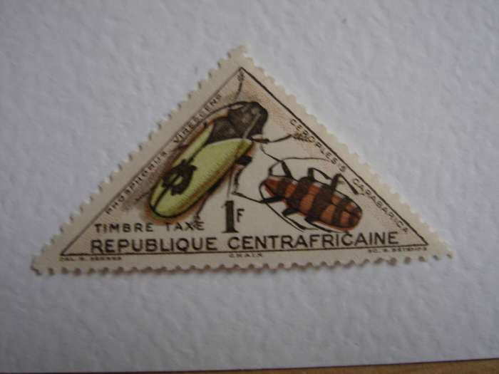 1962 Central African Republic - Beetles 1 F MNH