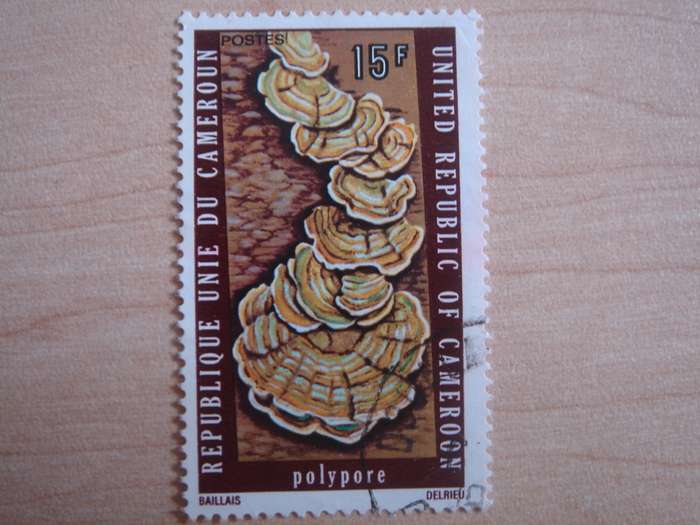 1975 Cameroon - Tree Fungus 15 F used, stamped