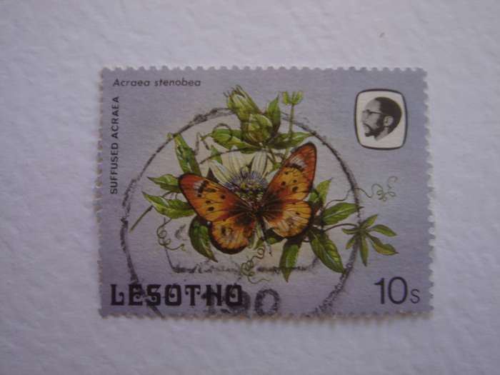 1984 Lesotho - Butterfly 10 S used, stamped