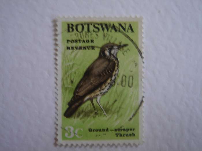 1967 Botswana - Ground-scraper Thrush 3 c used, stamped