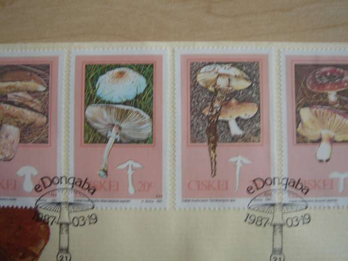 1987 Ciskei Fungi - 14,20,25,30 c on FDC