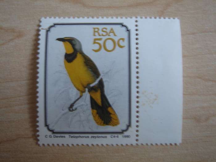 1990 RSA - Bokmakierie 50 c MNH with border