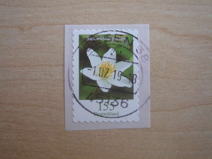2019 Deutschland MiNr 3484 stamped with number `15` on the back