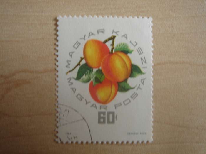 1964 Hungary - Peaches 60 f used, stamped
