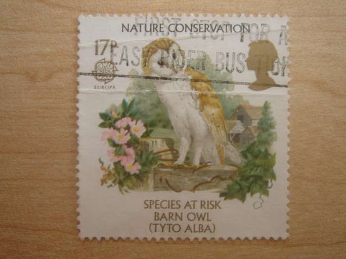 1986 Great Britain - Barn Owl 17 P used, stamped