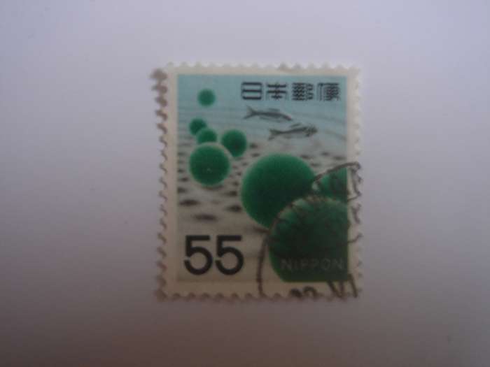 1966 Japan - Marimo water plant - 55 Y used, stamped