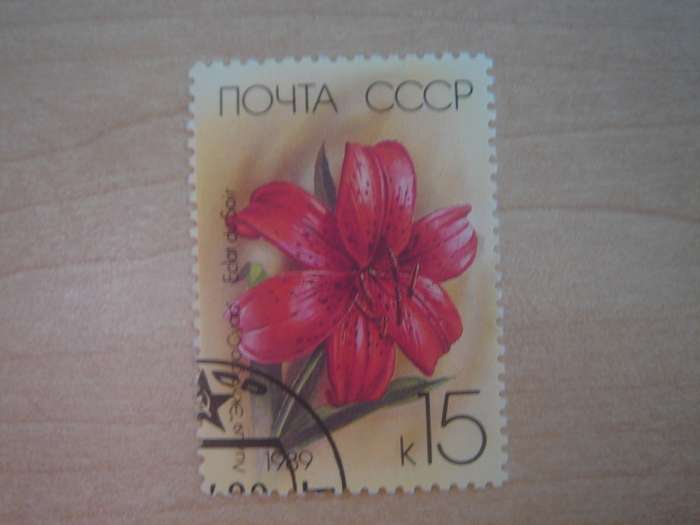 1989 USSR - Flower - Eclat du Soir 15 k used, stamped
