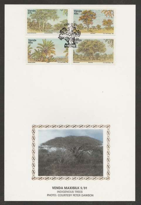 VENDA 1991 INDIGENOUS TREES LIMITED EDITION MAXISILK CARD # 5/91