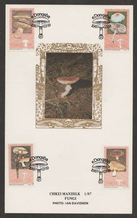 CISKEI 1987 FUNGI LIMITED EDITION MAXISILK CARD # 1/87