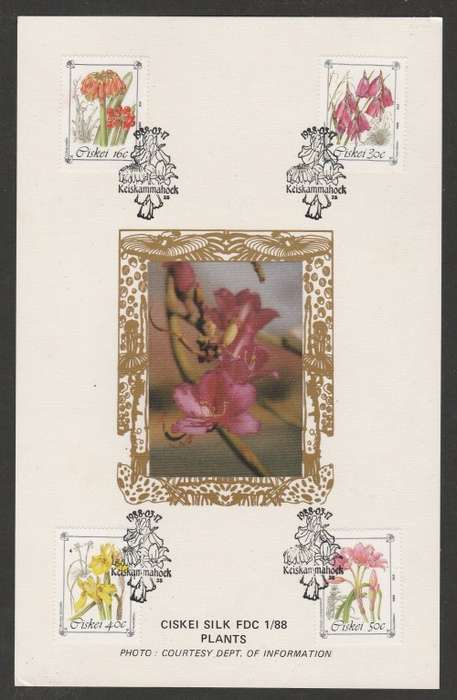 CISKEI 1988 PLANTS LIMITED EDITION MAXISILK CARD 1/88