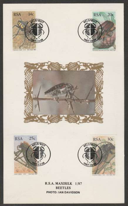 RSA 1987 BEETLES LIMITED EDITION MAXISILK CARD # 1/87