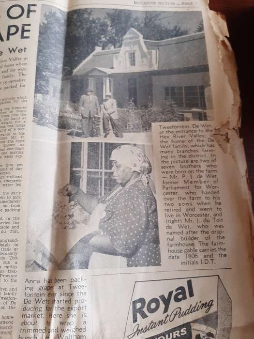 1 x Cape August news paper 1960