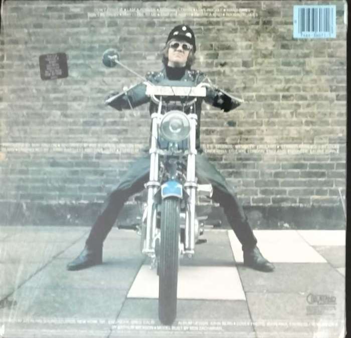 Mike Berry - I`m A Rockstar (Vintage Vinyl / LP / Record)