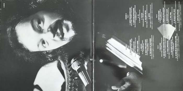 Alan Stivell - Grands Success (Vintage Vinyl / LP / Record) - 2LP