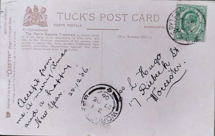 Vintage post card - South Africa - Northern Transvaal postcard/painting 1906