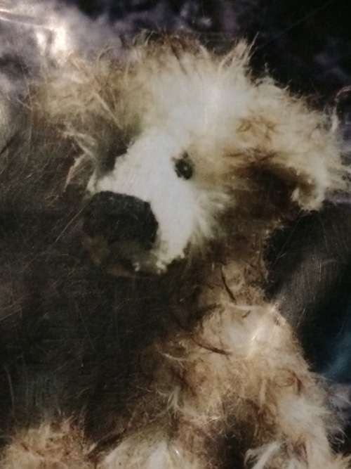 BEAR MAKING KIT