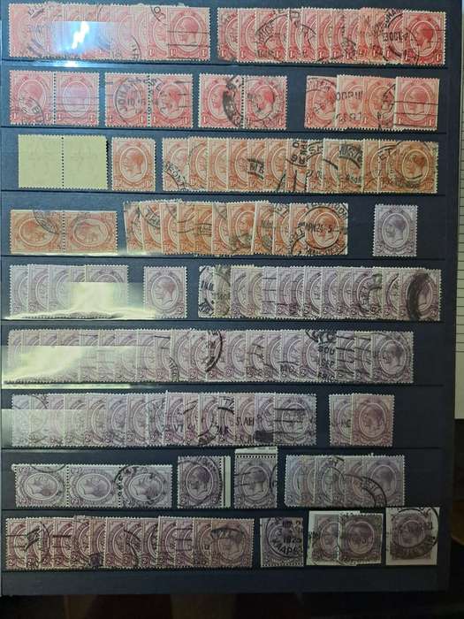 4.1 Union Collection - Clearance sale