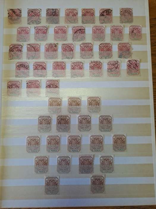 3.1 Transvaal collection - Clearance sale
